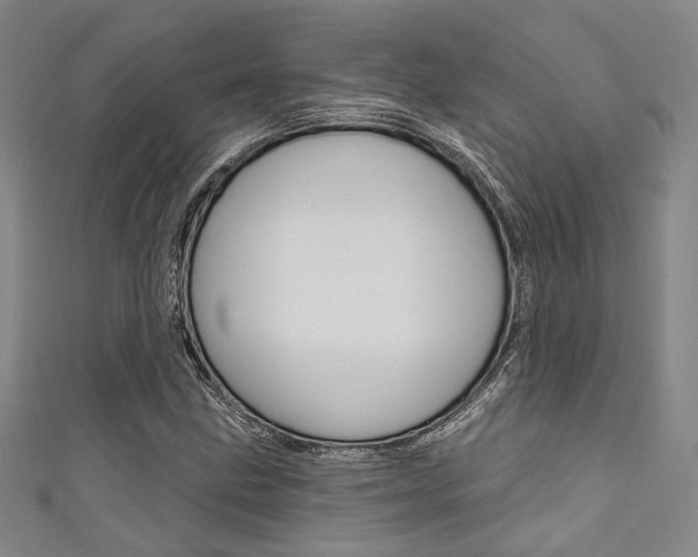 X0000111641211200907171031
