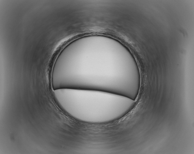 X0000111641214200907171031