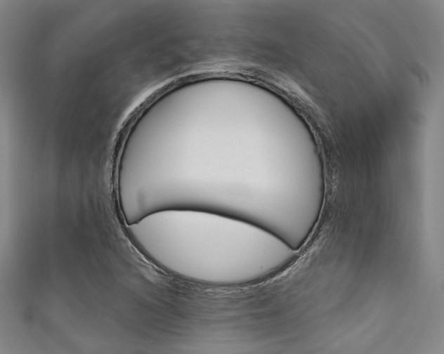 X0000111641216200907171031