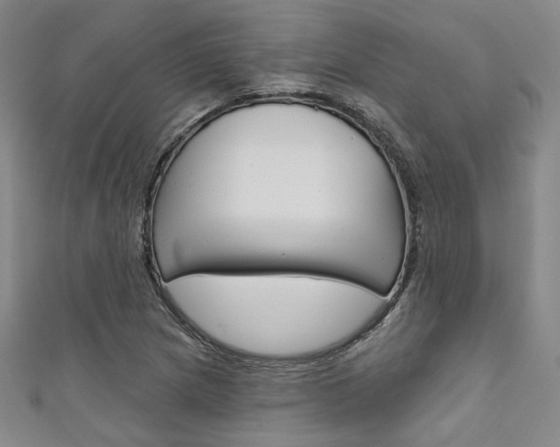 X0000111641217200907171031