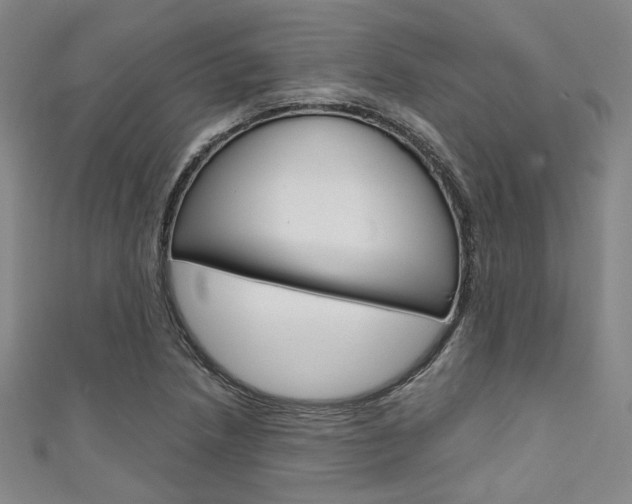 X0000111641218200907171031