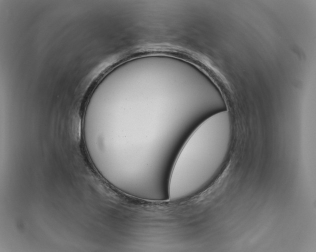 X0000111641221200907171031