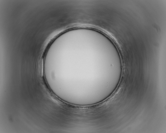 X0000111641223200907171031