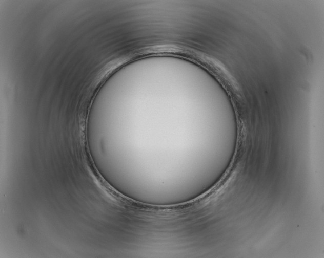X0000111641225200907171031