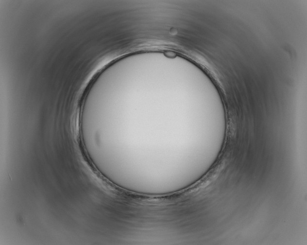 X0000111641227200907171031