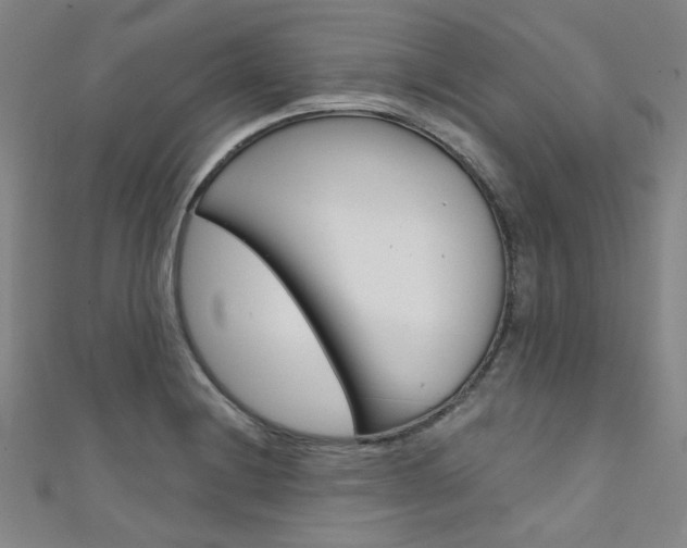 X0000111641228200907171031