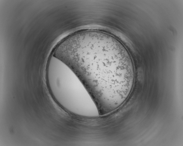 X0000111641229200907171031