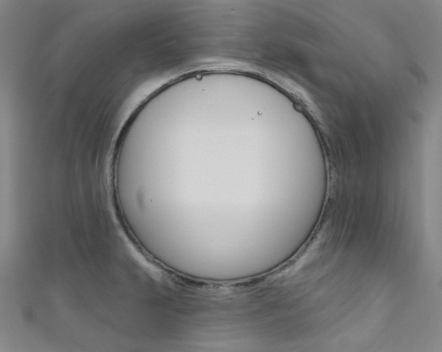 X0000111641231200907171031