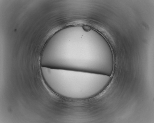 X0000111641233200907171031