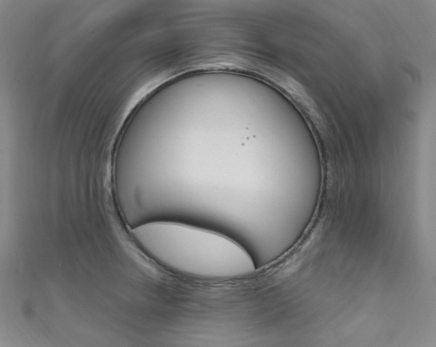 X0000111641234200907171031