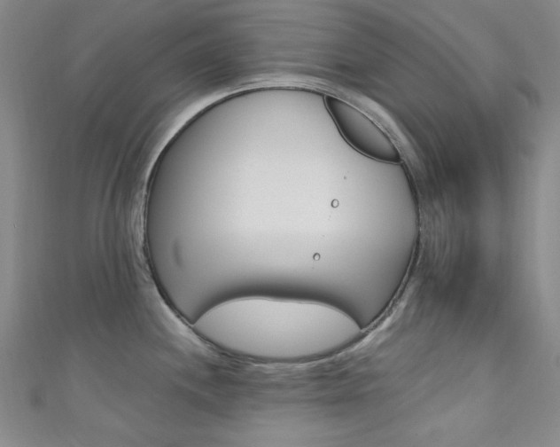 X0000111641244200907171032