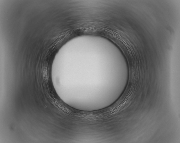X0000111641250200907171031