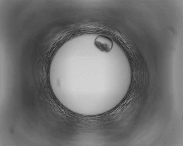 X0000111641253200907171031