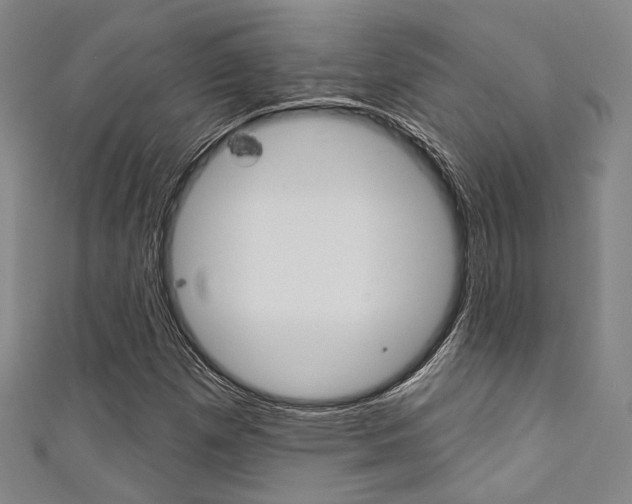X0000111641257200907171031