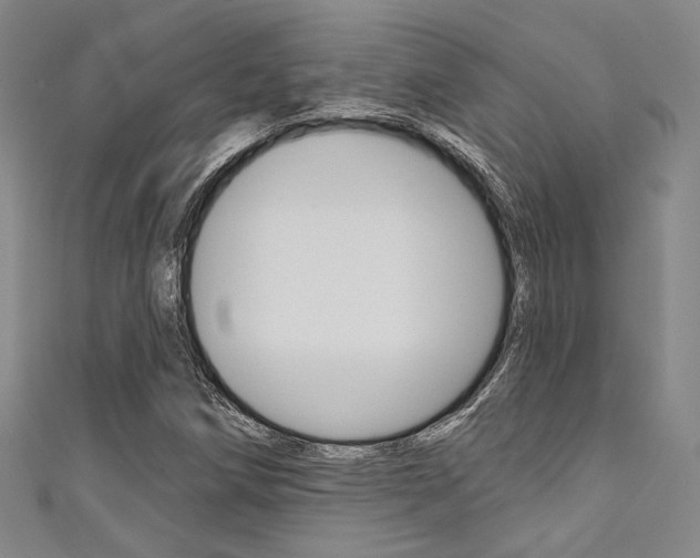 X0000111641258200907171031