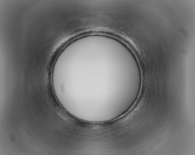 X0000111641263200907171031