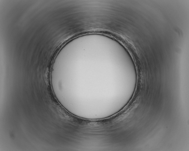 X0000111641265200907171031