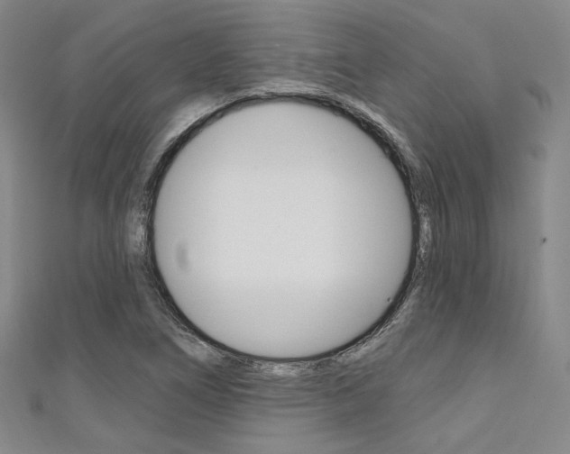 X0000111641266200907171031