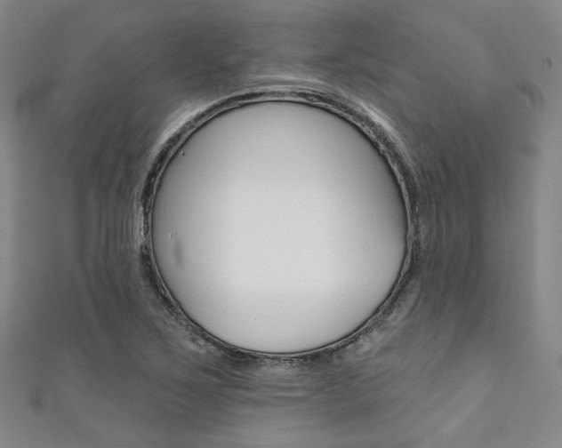 X0000111641267200907171031