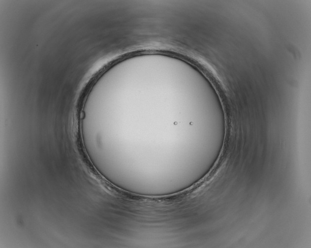 X0000111641270200907171031
