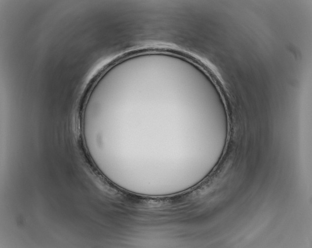 X0000111641271200907171031