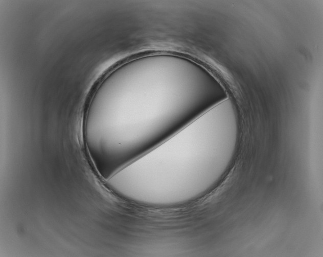 X0000111641272200907171031
