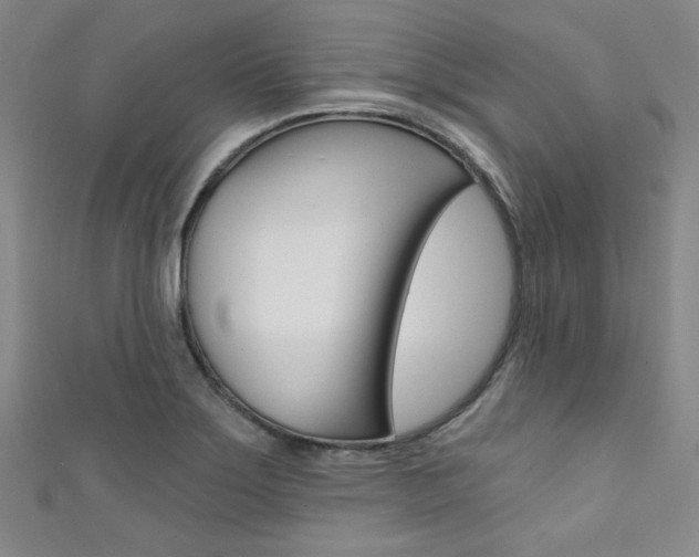 X0000111641275200907171031