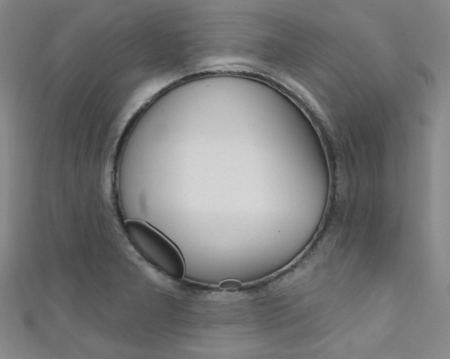 X0000111641277200907171031