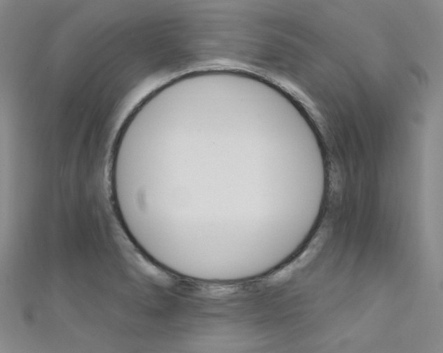 X0000111641278200907171031