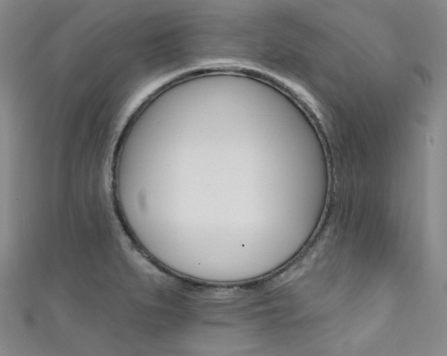 X0000111641279200907171031