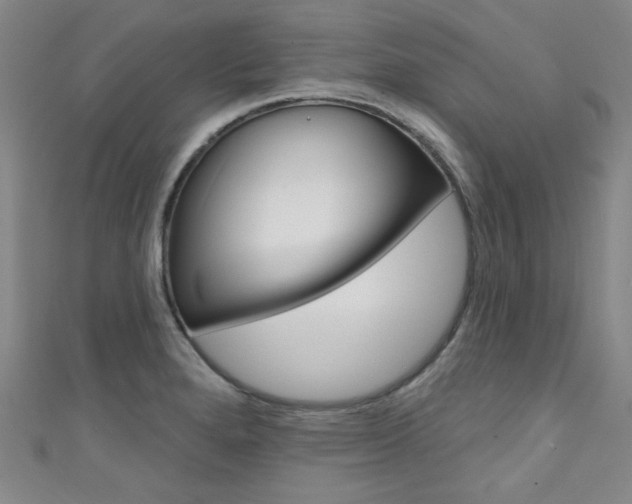 X0000111641280200907171031