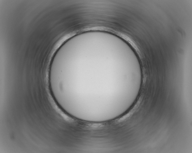 X0000111641282200907171031