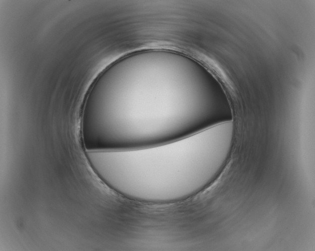 X0000111641284200907171031