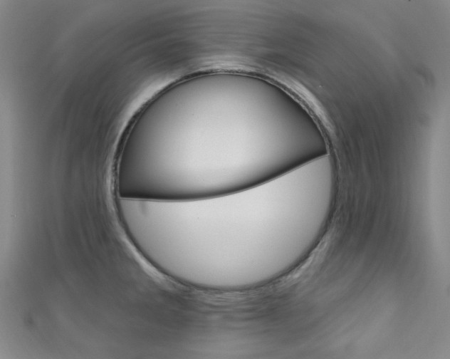 X0000111641285200907171031