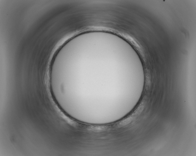 X0000111641286200907171031