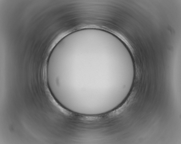 X0000111641290200907171031