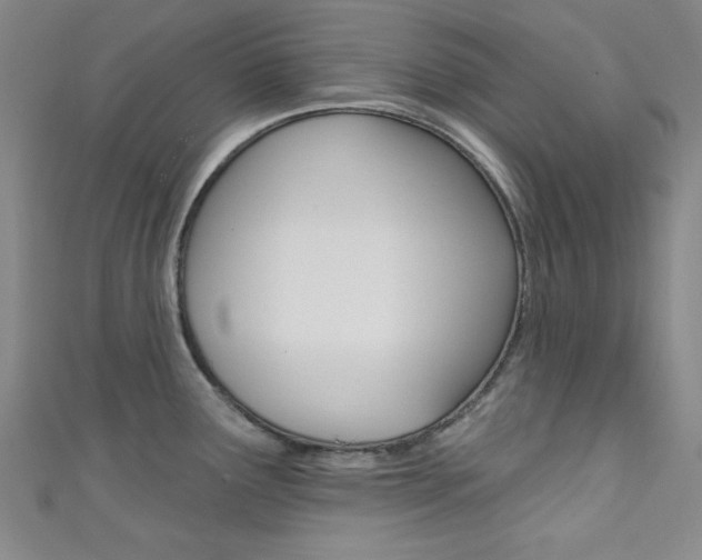 X0000111641291200907171031