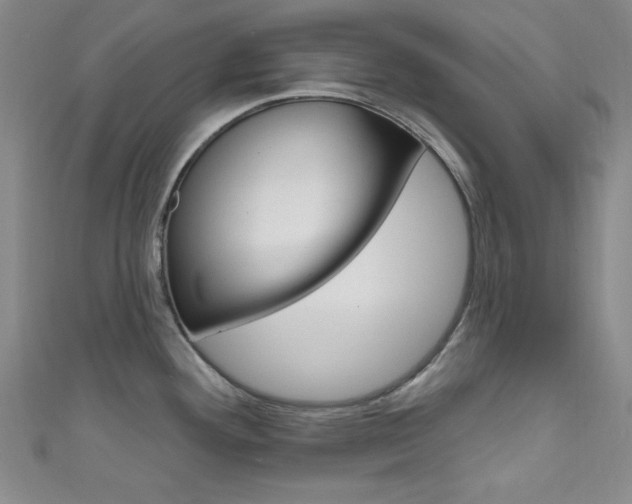 X0000111641292200907171030