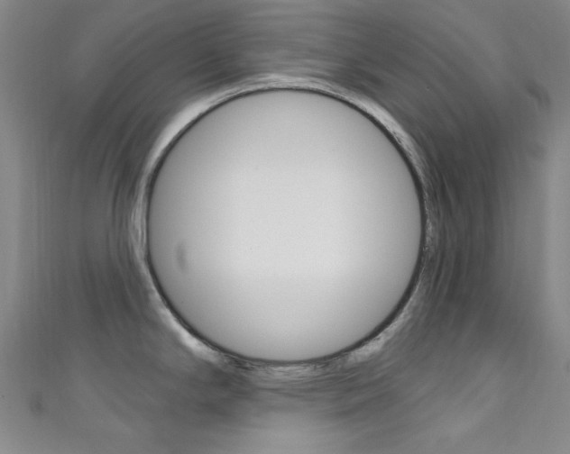X0000111641294200907171030
