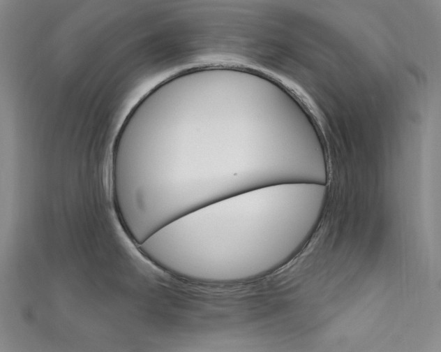 X0000111641295200907171030