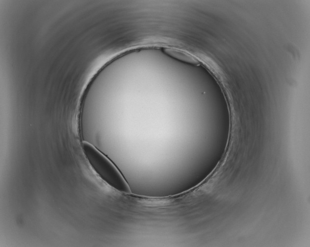 X0000111641296200907171030