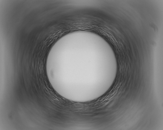 X0000111641298200907171030