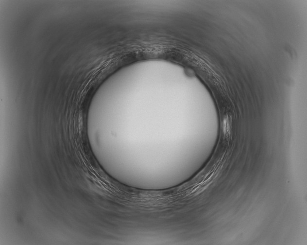 X0000111641299200907171030