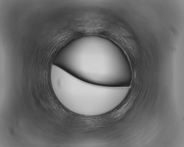 X0000111641300200907171030