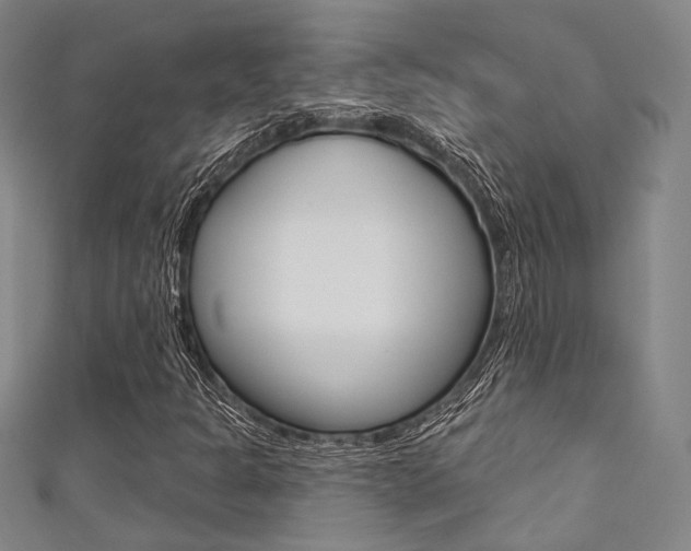X0000111641301200907171030