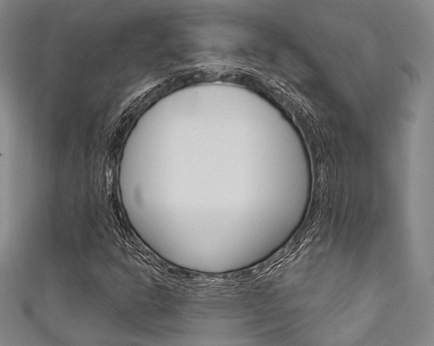 X0000111641302200907171030