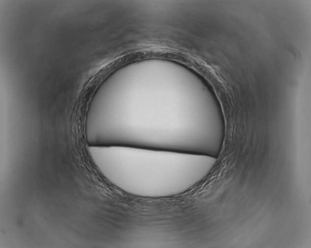 X0000111641303200907171030