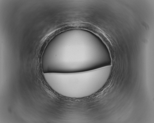 X0000111641304200907171030