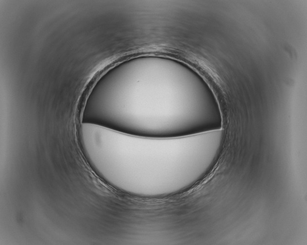 X0000111641308200907171030
