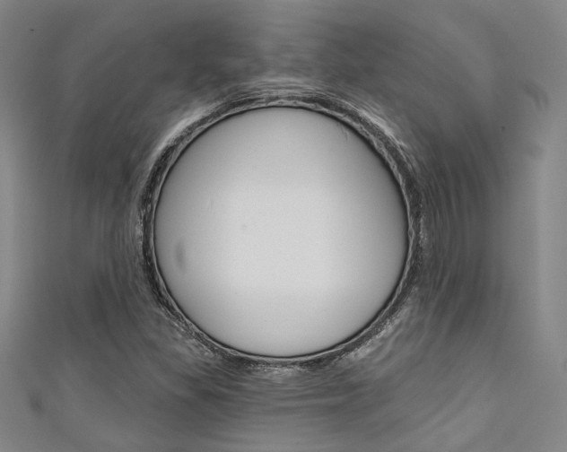 X0000111641309200907171030